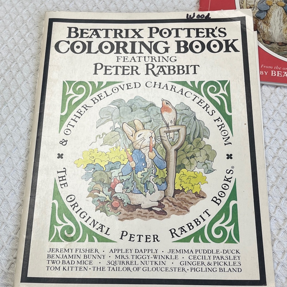 Vintage Colouring Book Featuring Peter Rabbit - Picture 5 of 9